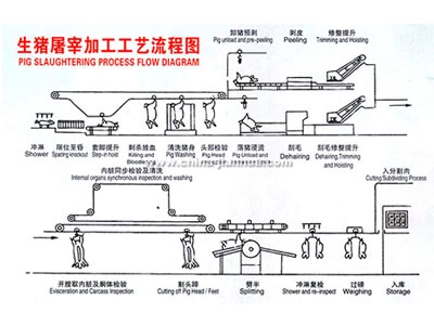 生猪开云最新官方工艺示意图