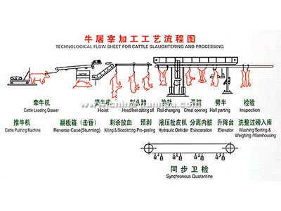 牛羊开云最新官方工艺示意图